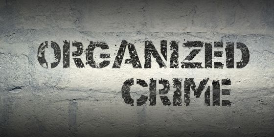 Schriftzug Organisierte Kriminalität